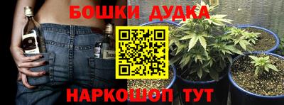 spice Пушкино